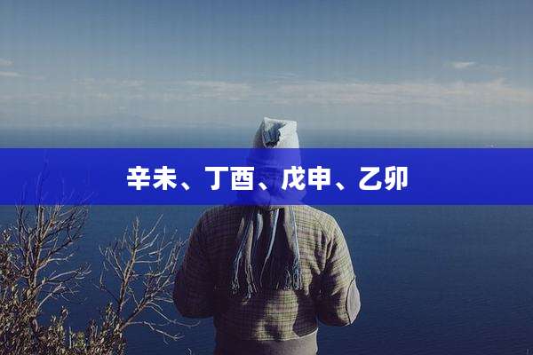 辛未、丁酉、戊申、乙卯
