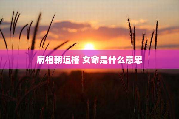 府相朝垣格 女命是什么意思
