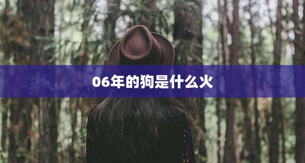 06年的狗是什么火