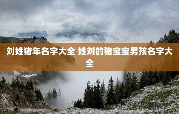 刘姓猪年名字大全 姓刘的猪宝宝男孩名字大全