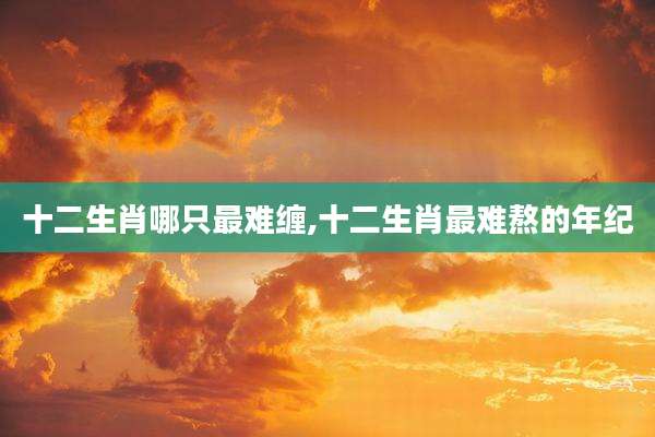 十二生肖哪只最难缠,十二生肖最难熬的年纪