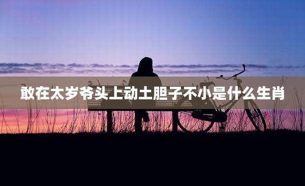 敢在太岁爷头上动土胆子不小是什么生肖