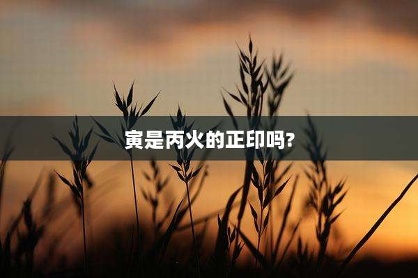 寅是丙火的正印吗?