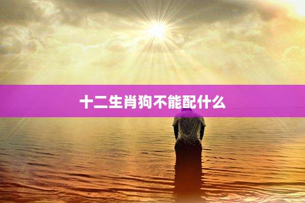 十二生肖狗不能配什么