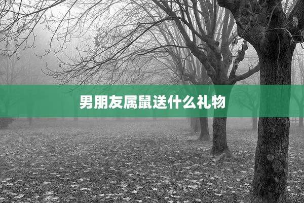 男朋友属鼠送什么礼物