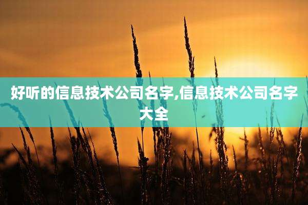好听的信息技术公司名字,信息技术公司名字大全