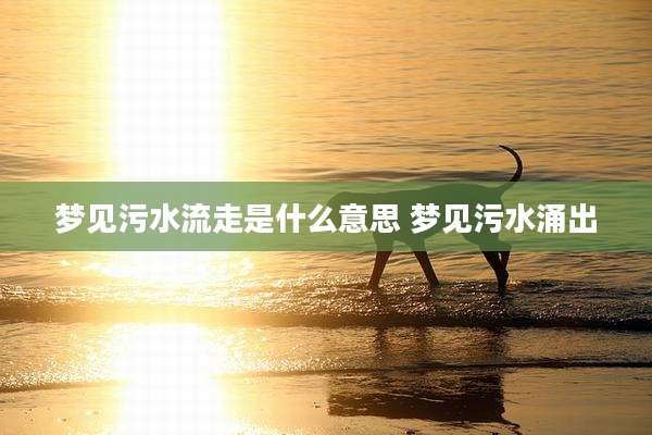 梦见污水流走是什么意思 梦见污水涌出