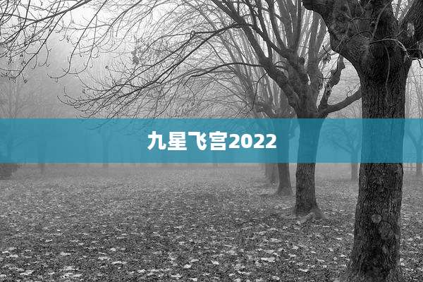 九星飞宫2022