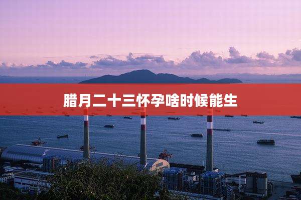 腊月二十三怀孕啥时候能生