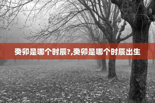 癸卯是哪个时辰?,癸卯是哪个时辰出生
