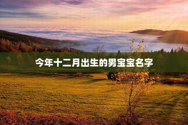 今年十二月出生的男宝宝名字