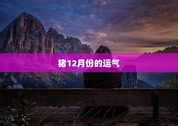 猪12月份的运气