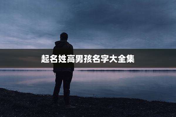 起名姓高男孩名字大全集