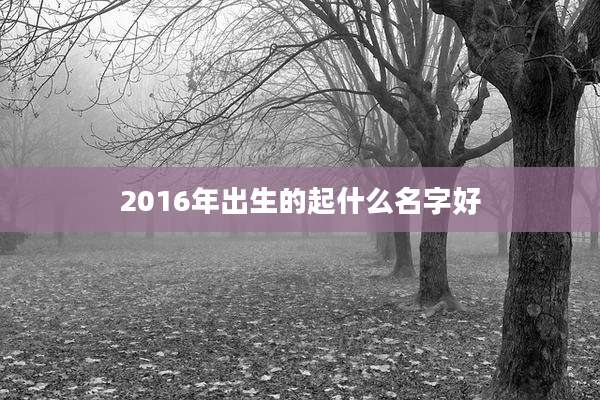 2016年出生的起什么名字好