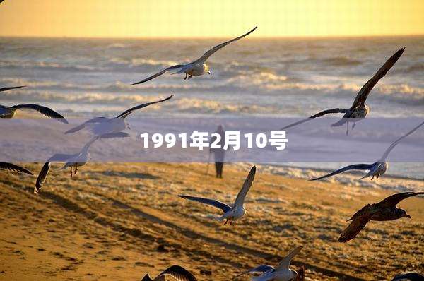 1991年2月10号