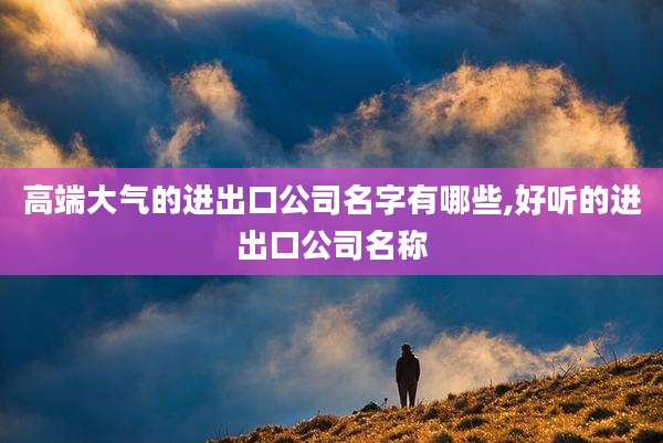 高端大气的进出口公司名字有哪些,好听的进出口公司名称