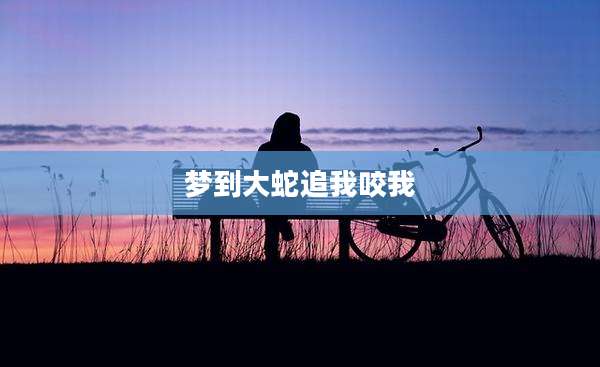 梦到大蛇追我咬我