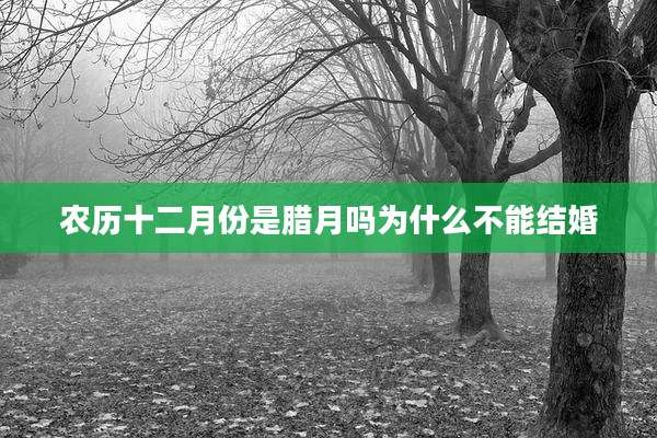 农历十二月份是腊月吗为什么不能结婚