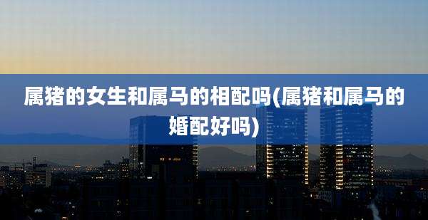 属猪的女生和属马的相配吗(属猪和属马的婚配好吗)