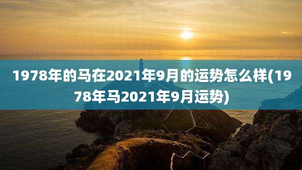 1978年的马在2021年9月的运势怎么样(1978年马2021年9月运势)