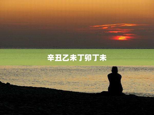 辛丑乙未丁卯丁未