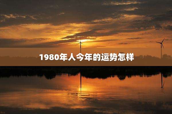 1980年人今年的运势怎样