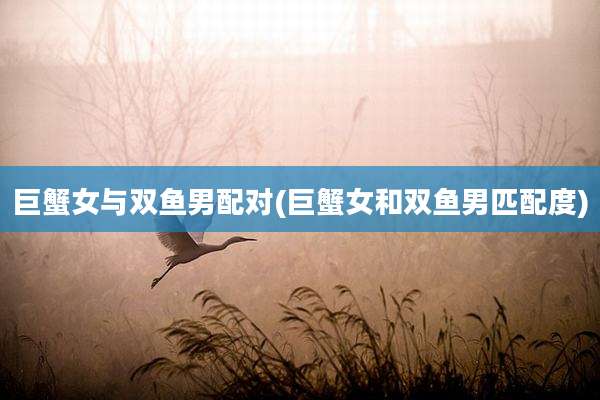 巨蟹女与双鱼男配对(巨蟹女和双鱼男匹配度)