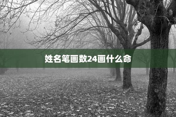 姓名笔画数24画什么命