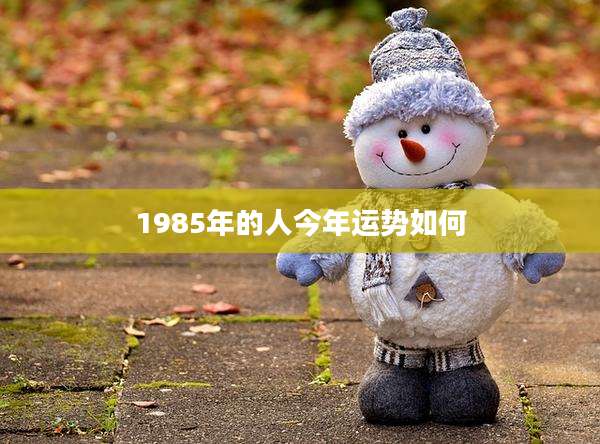 1985年的人今年运势如何