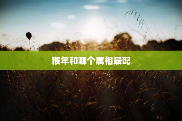 猴年和哪个属相最配