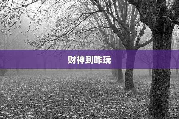 财神到咋玩