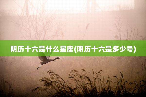 阴历十六是什么星座(阴历十六是多少号)