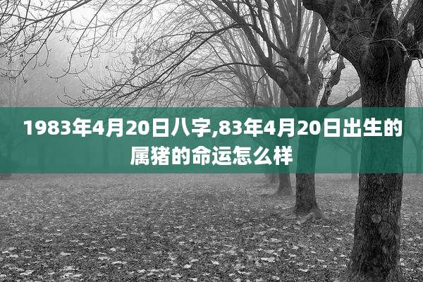 1983年4月20日八字,83年4月20日出生的属猪的命运怎么样