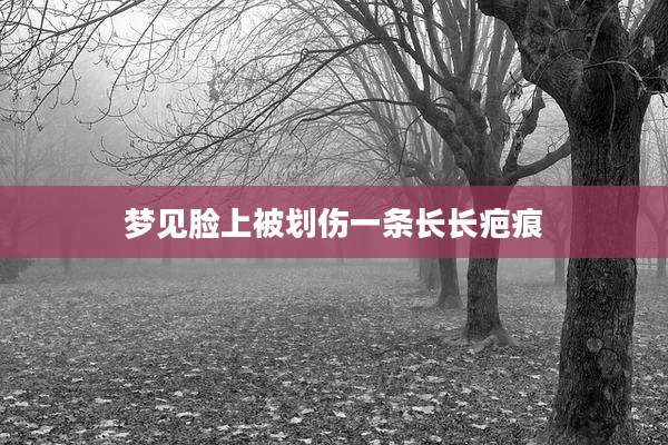 梦见脸上被划伤一条长长疤痕