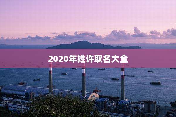 2020年姓许取名大全