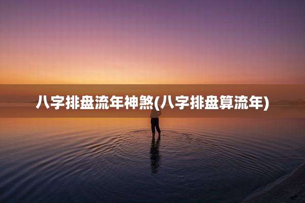 八字排盘流年神煞(八字排盘算流年)