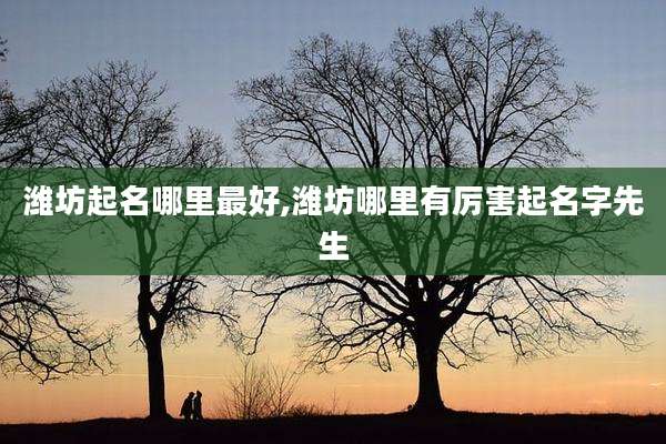 潍坊起名哪里最好,潍坊哪里有厉害起名字先生