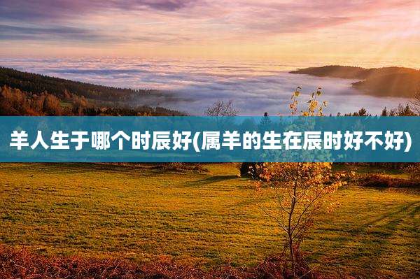 羊人生于哪个时辰好(属羊的生在辰时好不好)