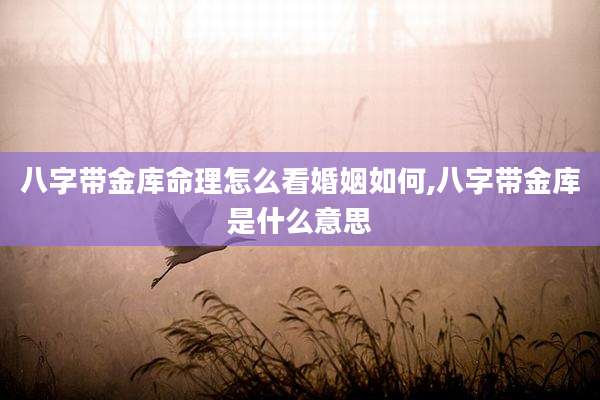 八字带金库命理怎么看婚姻如何,八字带金库是什么意思
