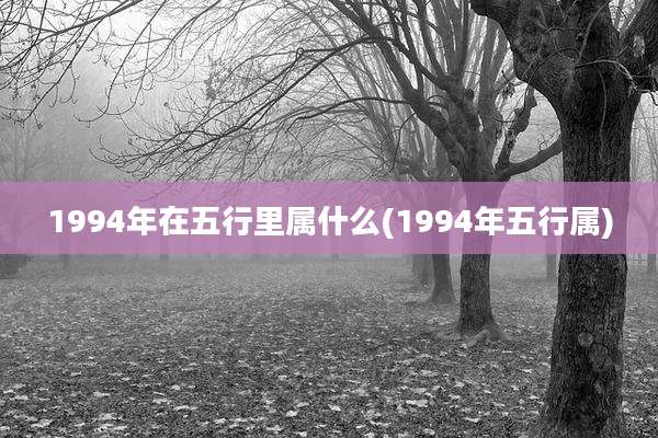 1994年在五行里属什么(1994年五行属)