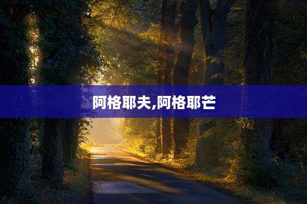 阿格耶夫,阿格耶芒