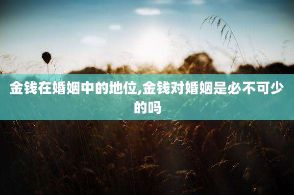 金钱在婚姻中的地位,金钱对婚姻是必不可少的吗