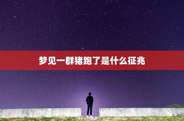 梦见一群猪跑了是什么征兆