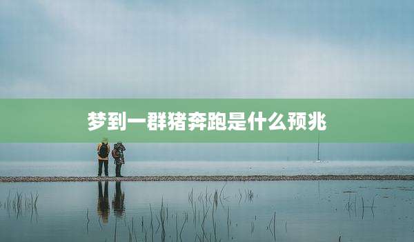 梦到一群猪奔跑是什么预兆