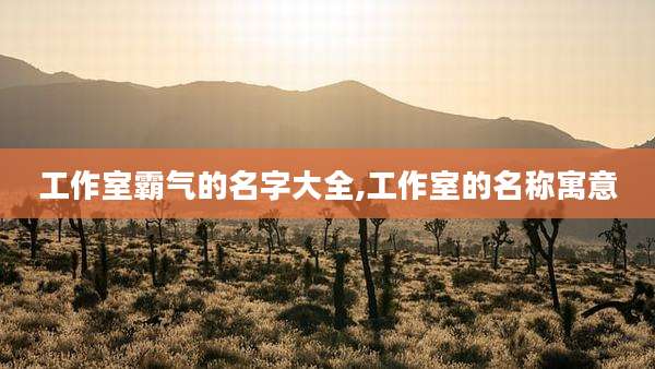 工作室霸气的名字大全,工作室的名称寓意