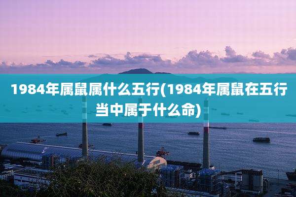 1984年属鼠属什么五行(1984年属鼠在五行当中属于什么命)