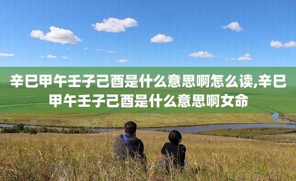 辛巳甲午壬子己酉是什么意思啊怎么读,辛巳甲午壬子己酉是什么意思啊女命