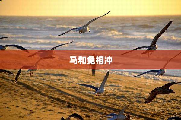 马和兔相冲