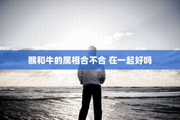猴和牛的属相合不合 在一起好吗