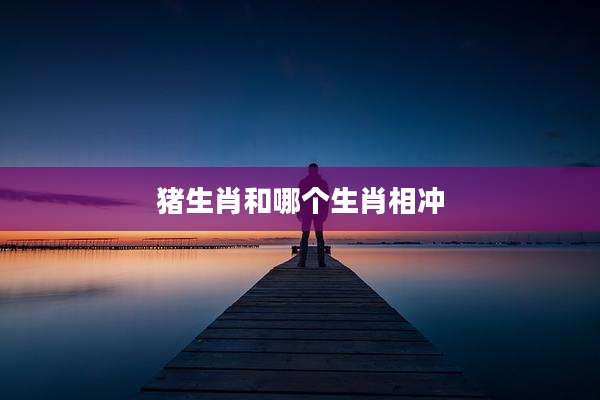 猪生肖和哪个生肖相冲